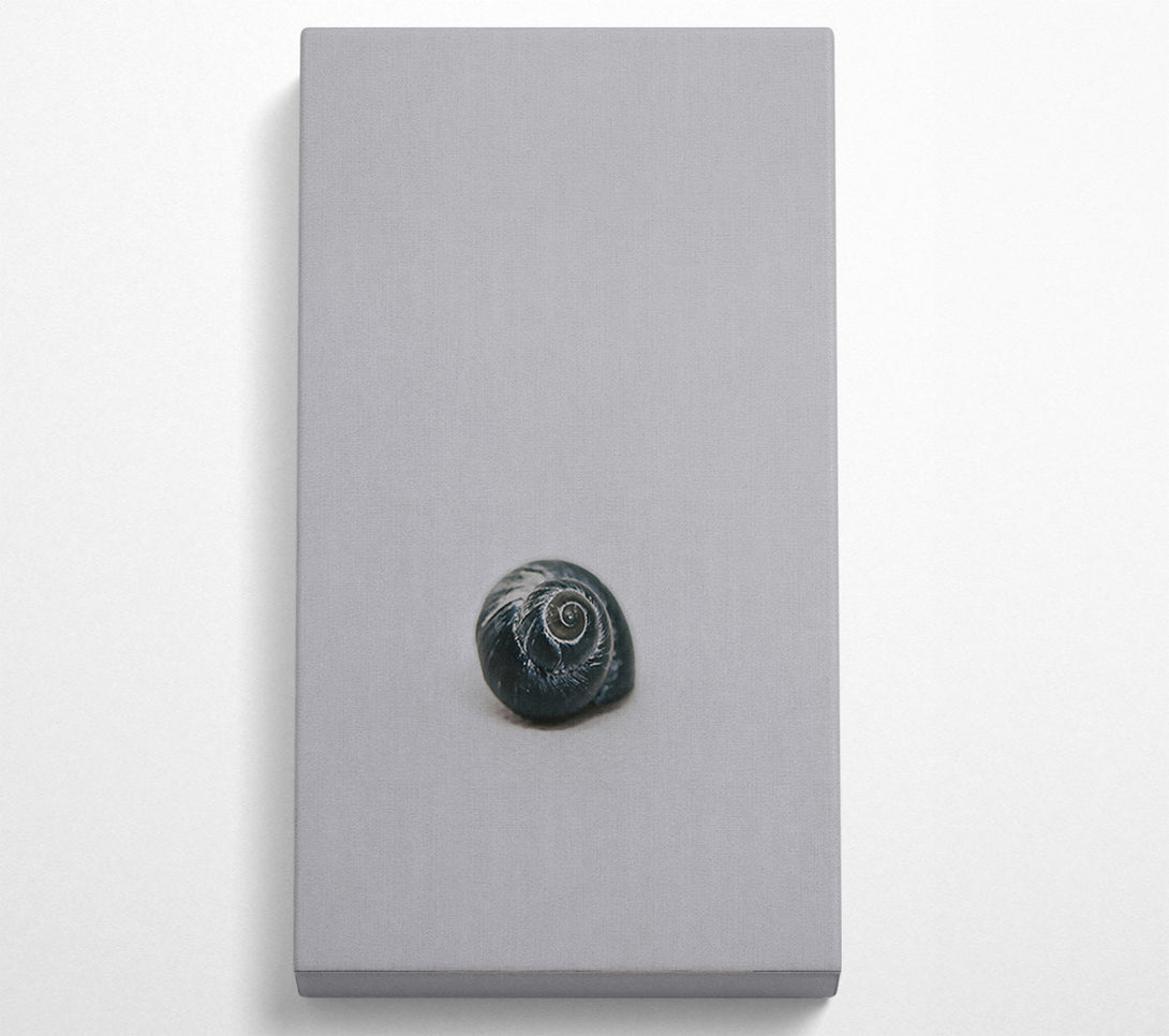  A Canvas Print of Black Shell Spiral Canvas Art