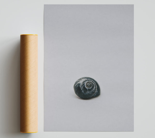 Black Shell Spiral Giclee Print