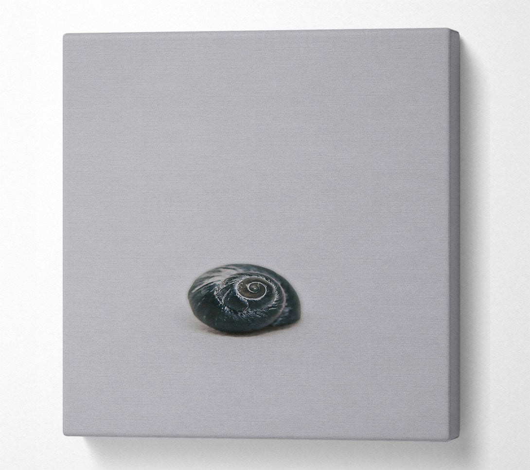  A Canvas Print of Black Shell Spiral Canvas Art