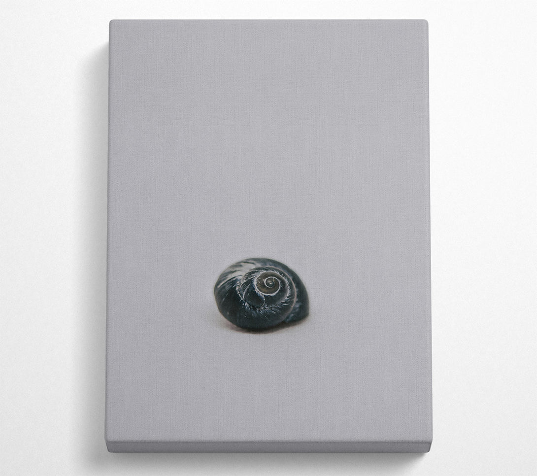  A Canvas Print of Black Shell Spiral Canvas Art