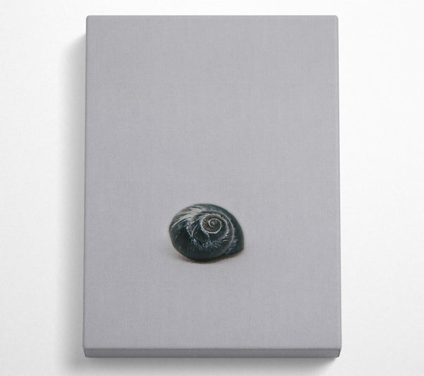  A Canvas Print of Black Shell Spiral Canvas Art