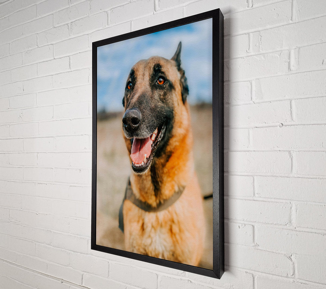  A Canvas Print of Golden Fur And Smiles Canvas Wall Art