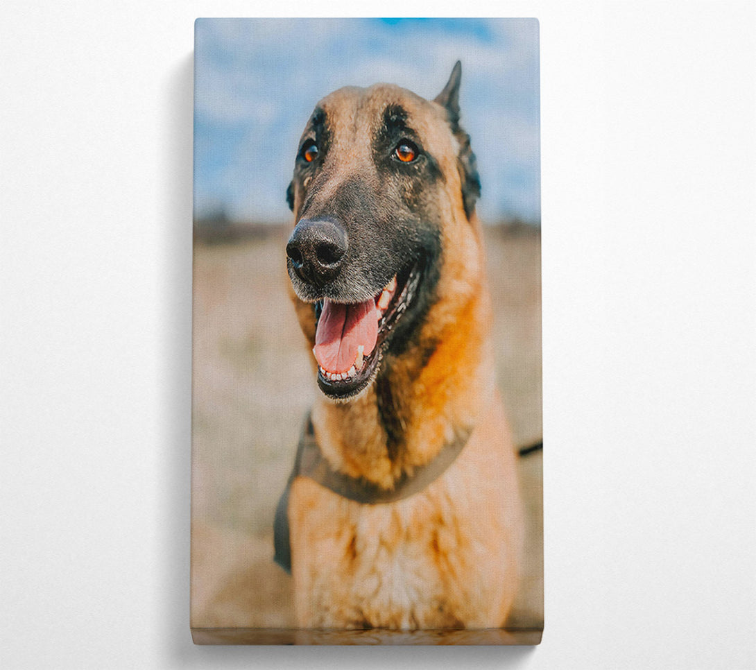  A Canvas Print of Golden Fur And Smiles Canvas Wall Art