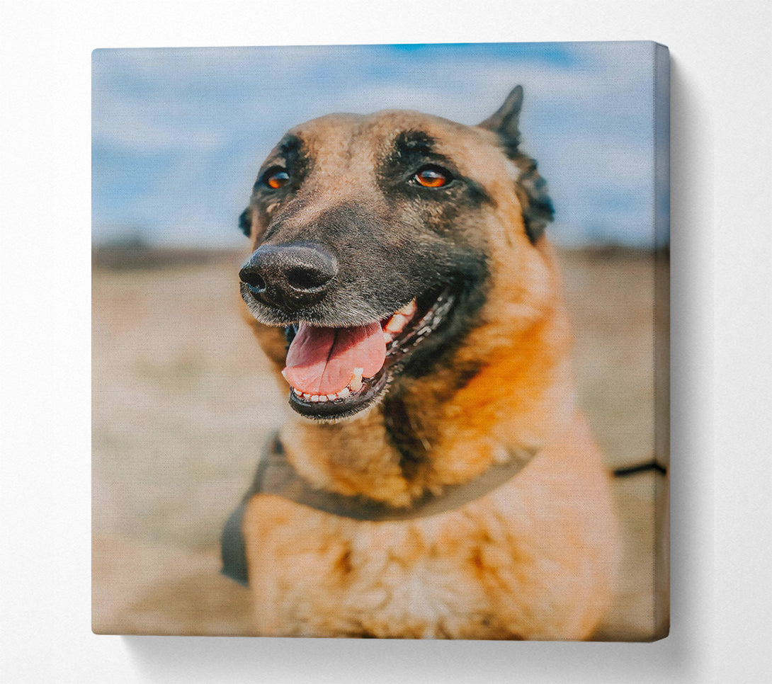  A Canvas Print of Golden Fur And Smiles Canvas Wall Art