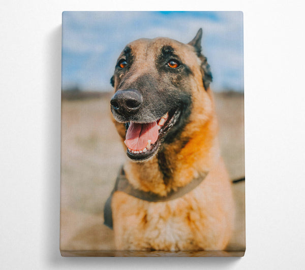  A Canvas Print of Golden Fur And Smiles Canvas Wall Art