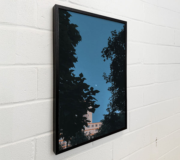 Blue Sky Silhouette