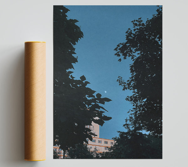 Blue Sky Silhouette Giclee Print