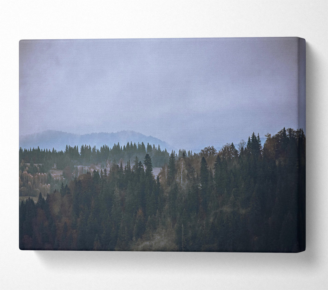  A Canvas Print of Blue Mist Forest Canvas Wall Art