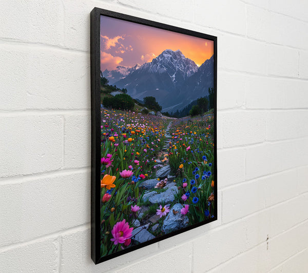 Purple Mountain Meadow