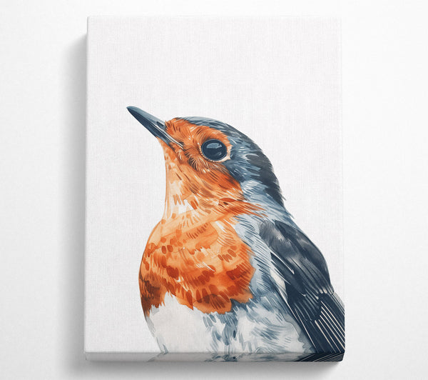  A Canvas Print of Sunrise Robin Gaze Canvas Print