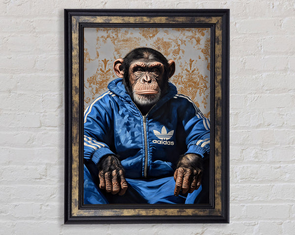 Chimp Tracksuit Framed Print