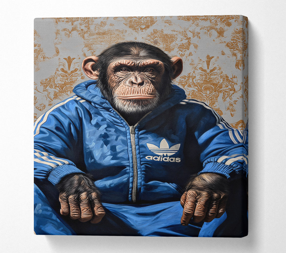  A Canvas Print of Chimp Tracksuit Canvas Art