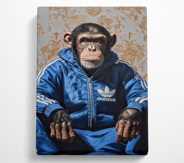  A Canvas Print of Chimp Tracksuit Canvas Art