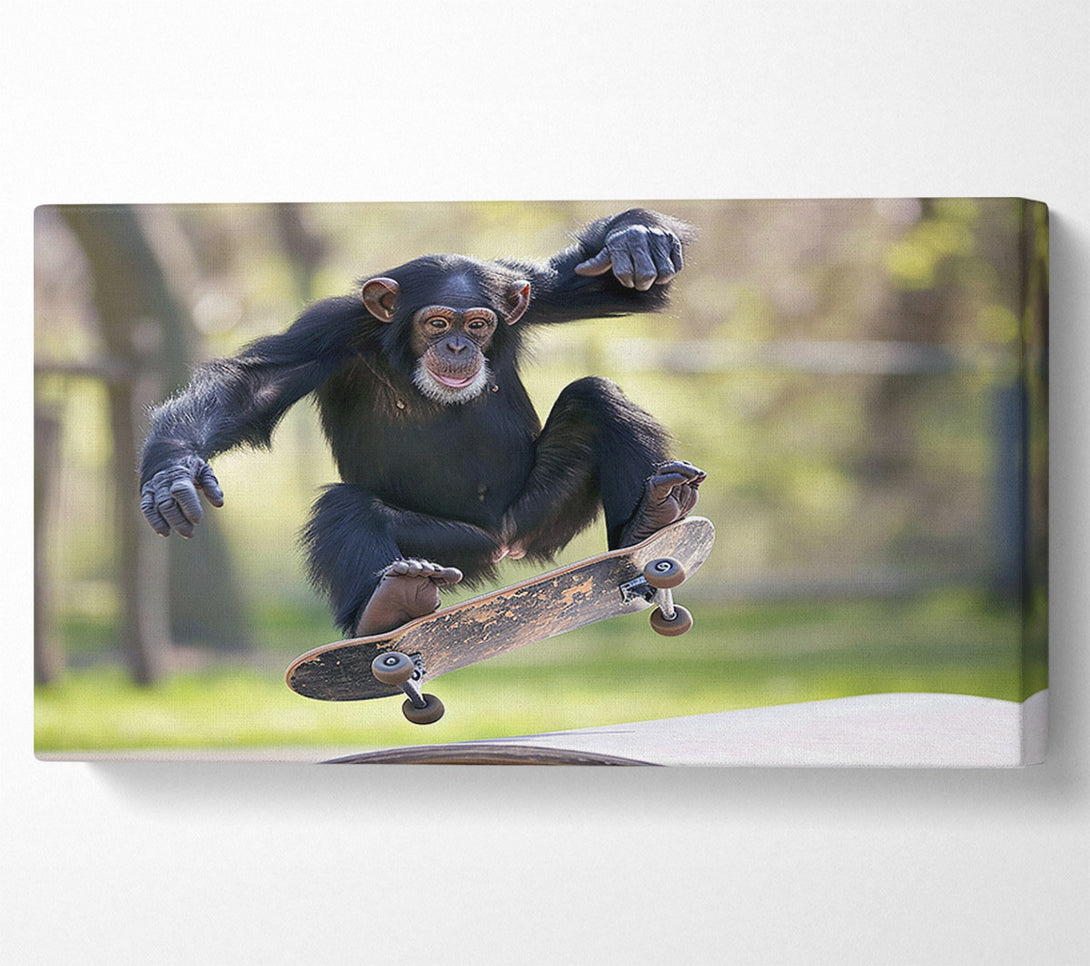 A Canvas Print of Chimpanzee Skating Canvas Art