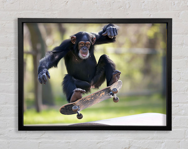 Chimpanzee Skating Framed Print