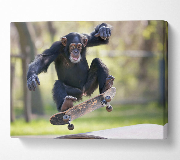 A Canvas Print of Chimpanzee Skating Canvas Art