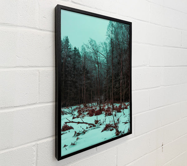 Teal Winter Forest