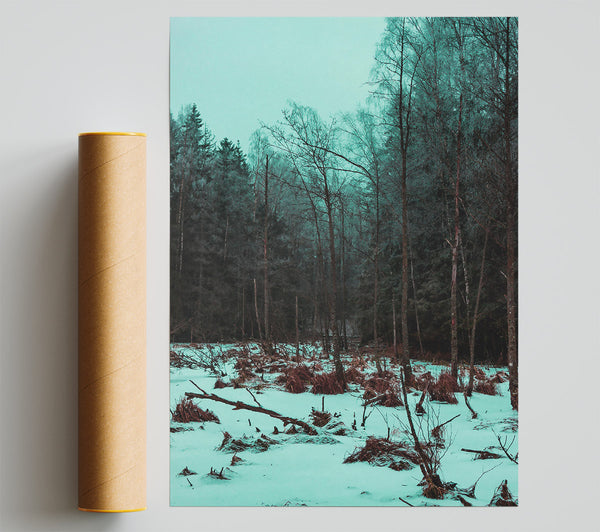 Teal Winter Forest Giclee Print