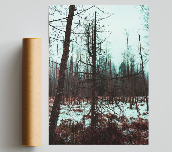 Blue Winter Forest Print