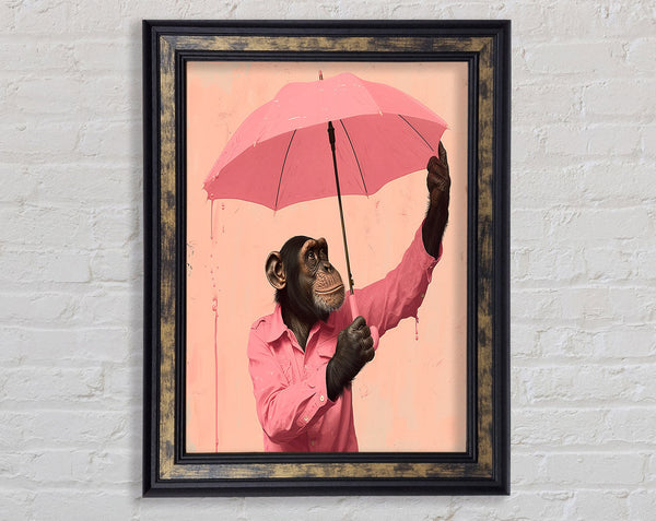 Chimpanzee Umbrella Framed Print