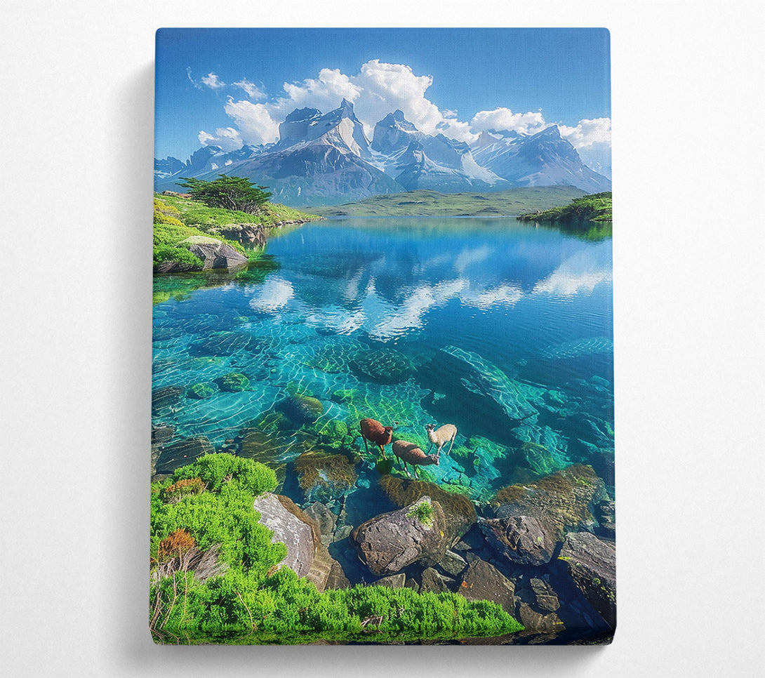  A Canvas Print of Blue Mountain Reflections Canvas Wall Art