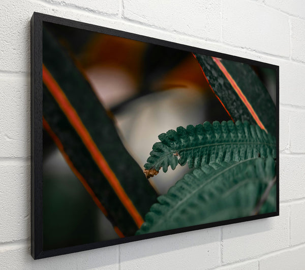Emerald Fern Focus