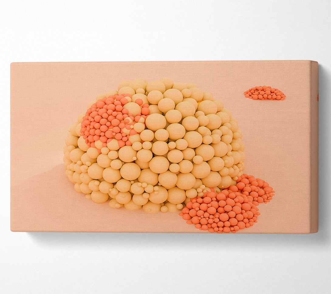  A Canvas Print of Coral Sphere Cluster Canvas Print