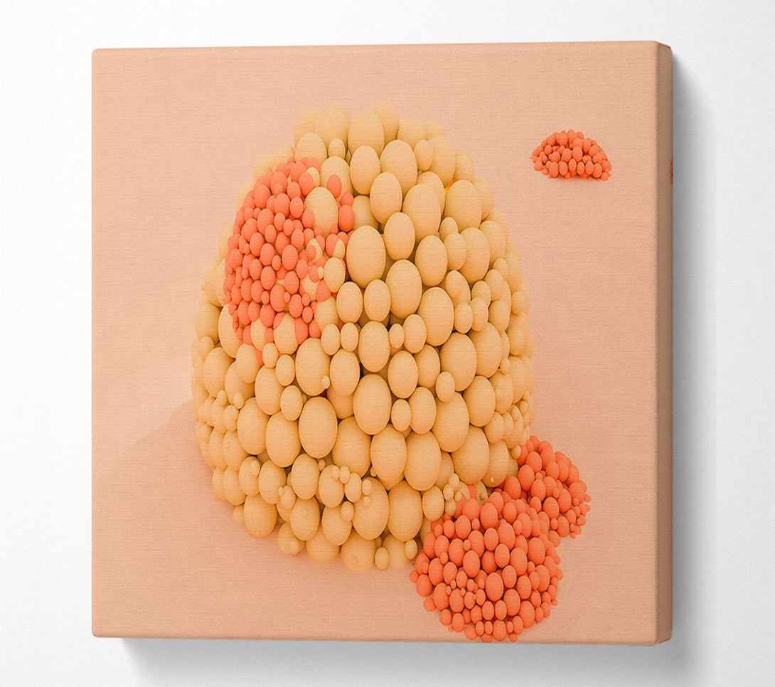  A Canvas Print of Coral Sphere Cluster Canvas Print
