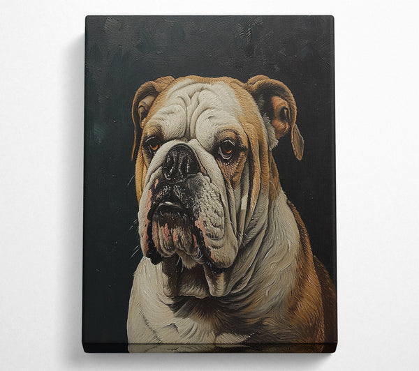  A Canvas Print of The Tan Bulldog Canvas Print