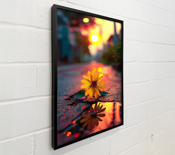 Golden Bloom Reflection