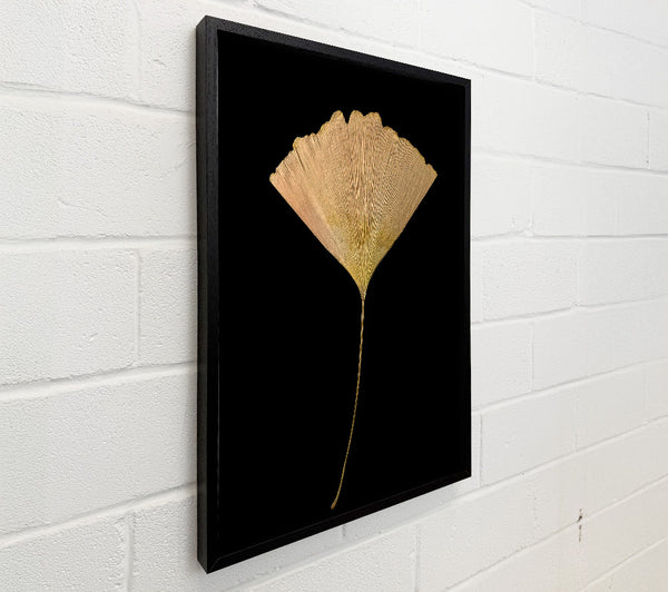 Golden Ginkgo Leaf