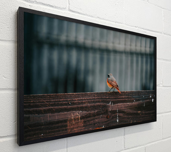 Red Bird On Brown Wood