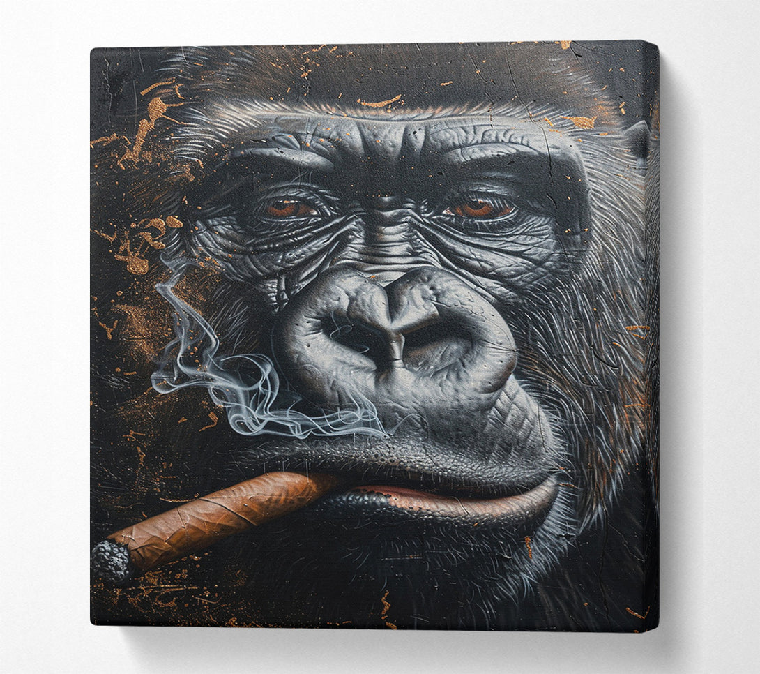  A Canvas Print of Cigar Gorilla Canvas Art