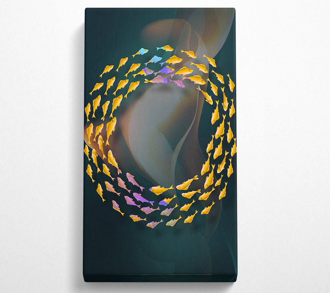  A Canvas Print of Circle Of Fish Canvas Print