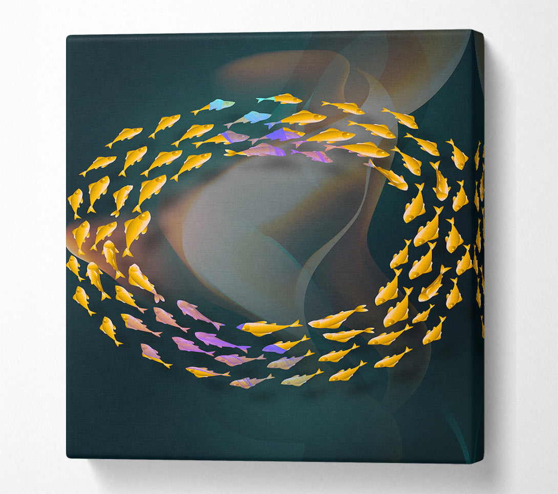  A Canvas Print of Circle Of Fish Canvas Print
