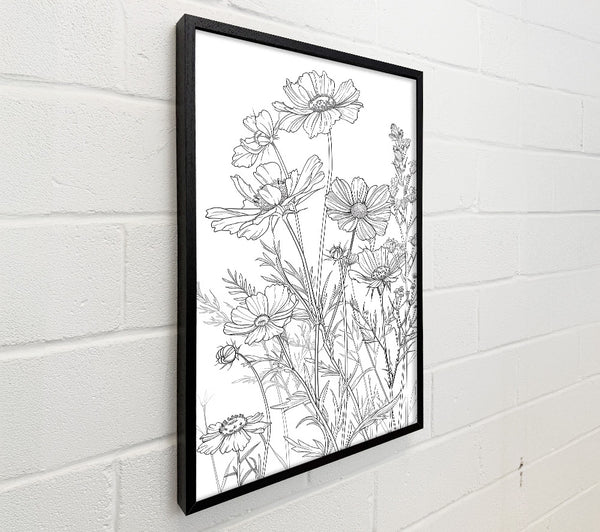 White Floral Blooms