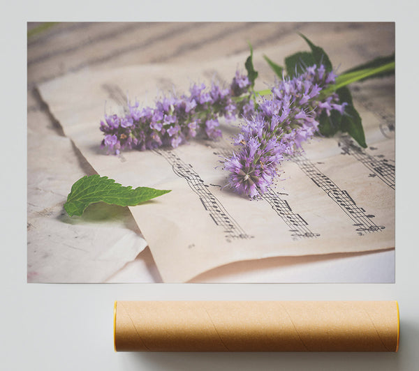 Purple Notes And Bloom Giclee Print