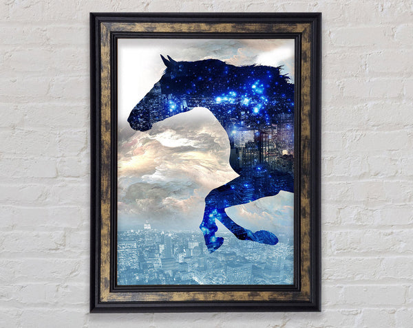 City Horse Framed Print