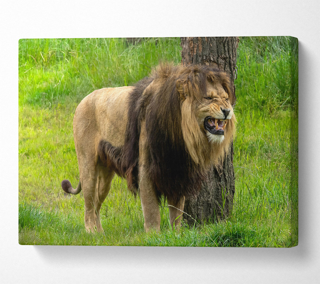  A Canvas Print of The Golden Roar Canvas Wall Art