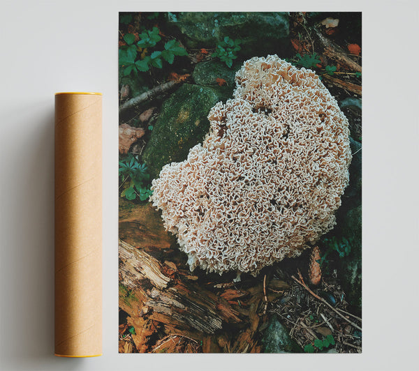 Creamy Forest Bloom Poster