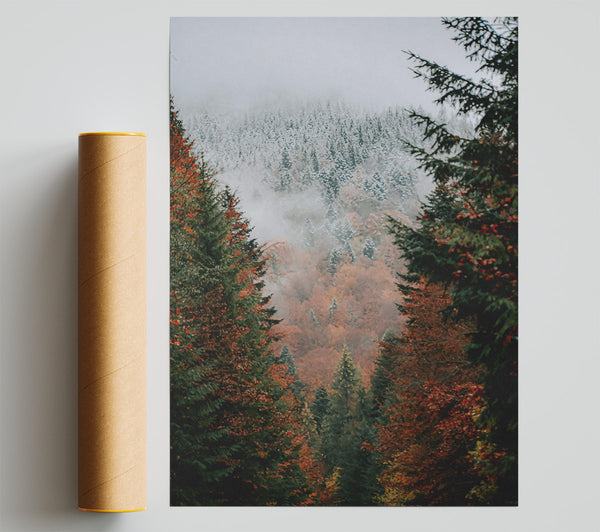 Autumn'S Green Embrace Print
