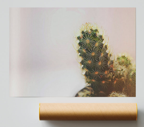 Green Cactus Bloom Print