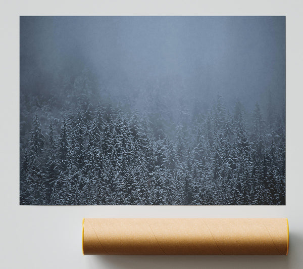Blue Mist Forest Print