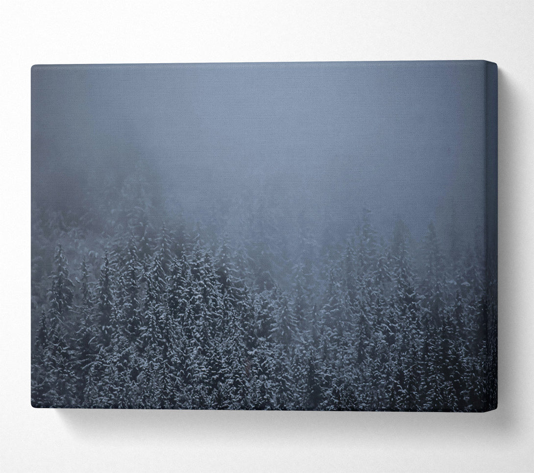  A Canvas Print of Blue Mist Forest Canvas Wall Art