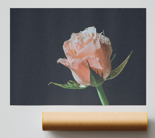 The Blush Of Dawn. Giclee Print