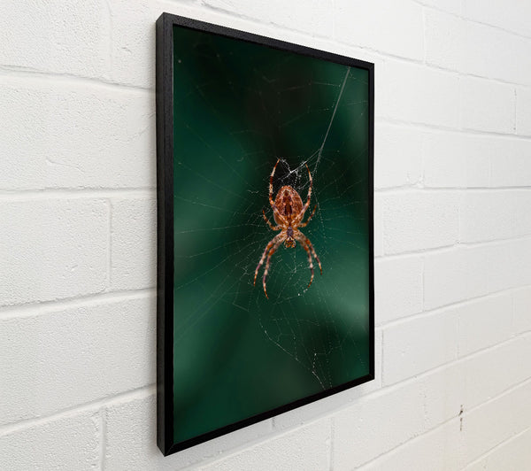 Green Web Weaver