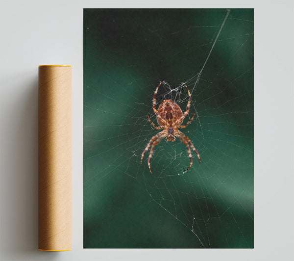 Green Web Weaver Poster