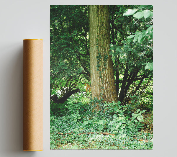 Green Forest Embrace Poster