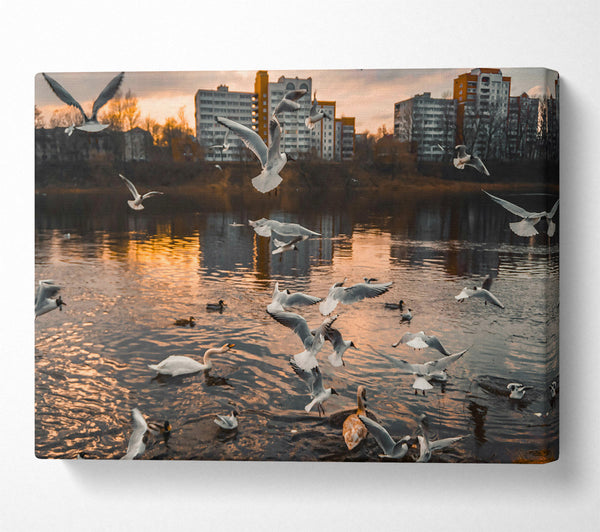  A Canvas Print of Golden Flock On Water Canvas Wall Art