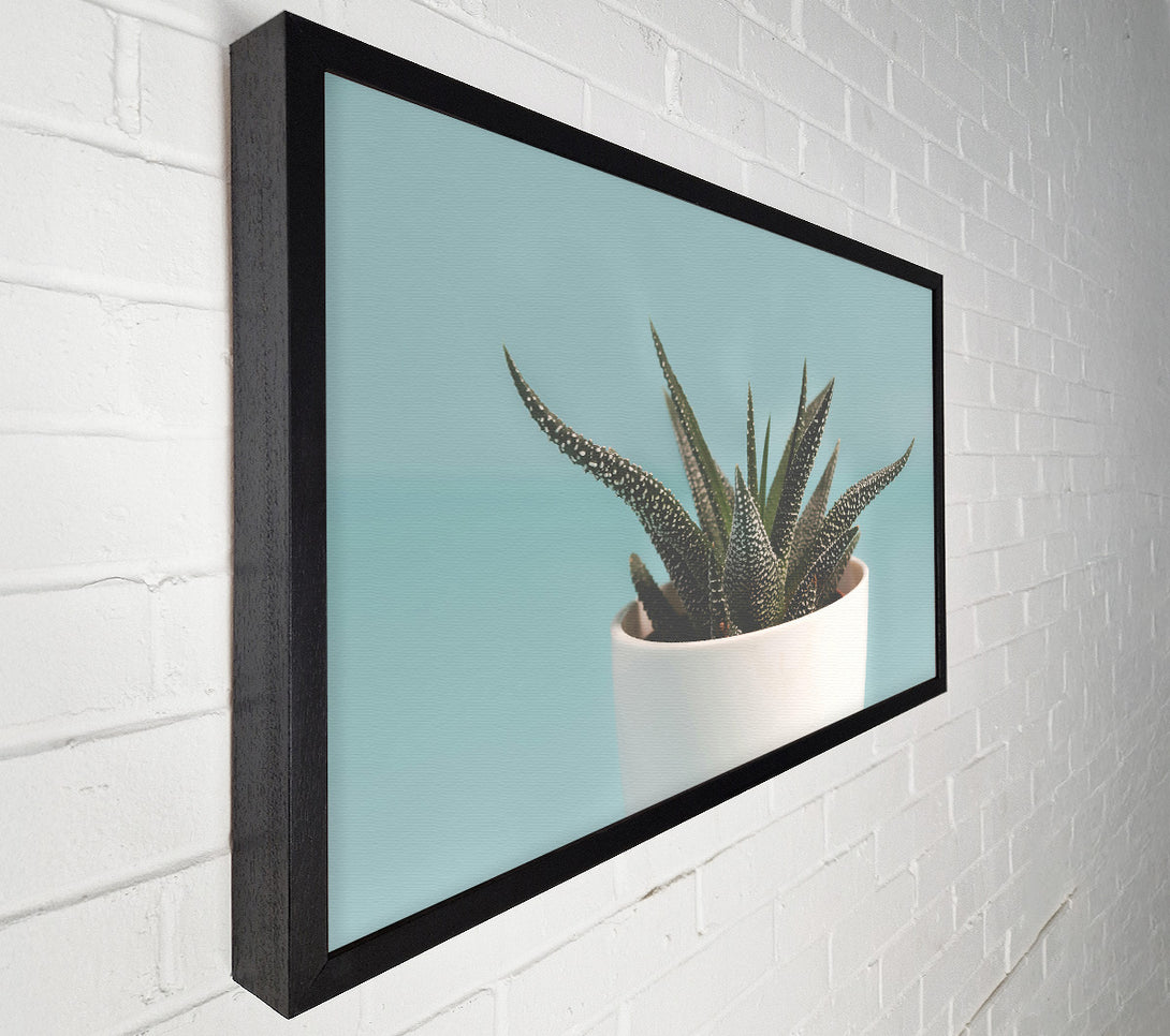  A Canvas Print of Teal Potted Plant Canvas Art